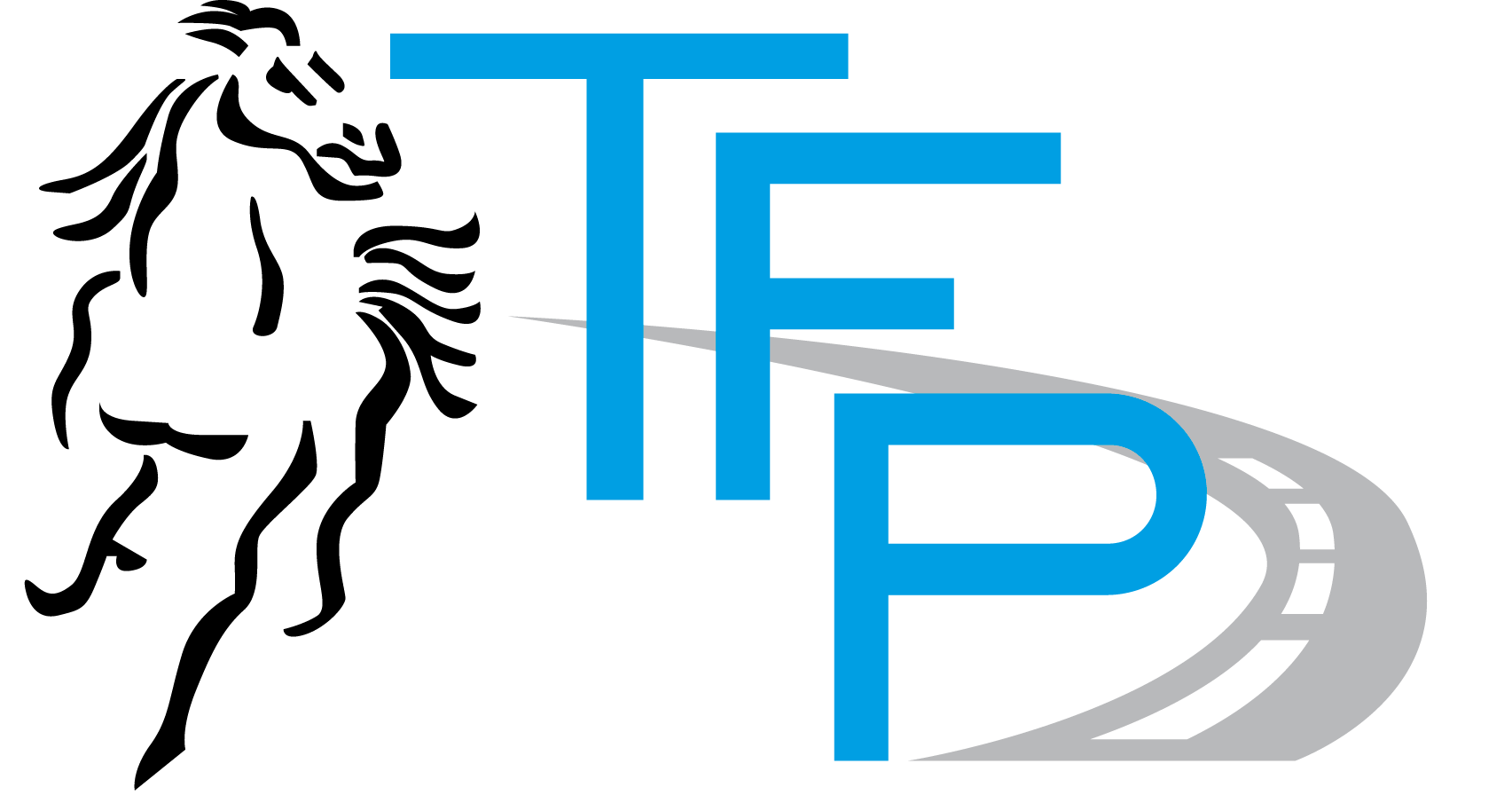 Tfp Trasporti e logistica Srl